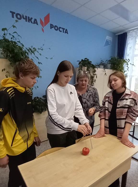 Неделя естественно-математического цикла.